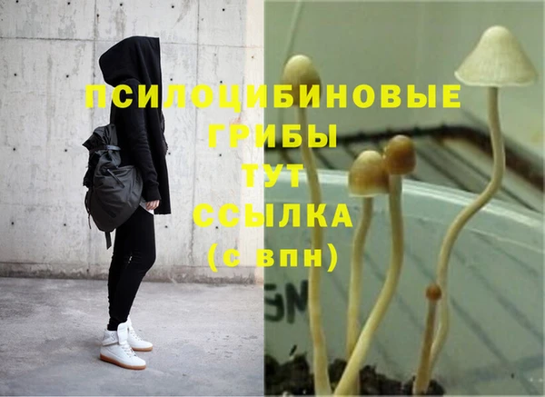 гашишное масло Ладушкин