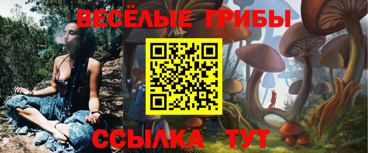 Галлюциногенные грибы MAGIC MUSHROOMS  Северодвинск 
