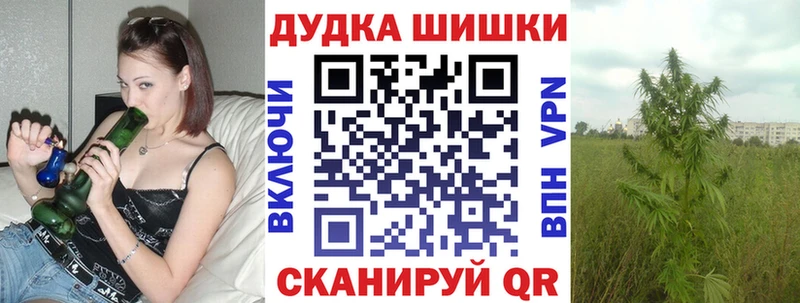 Конопля сатива  Северодвинск 