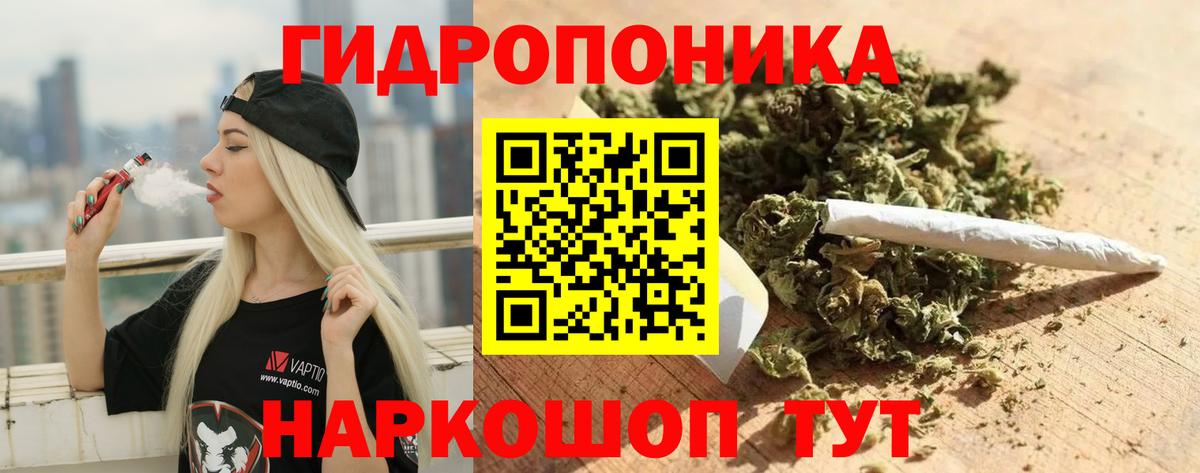 Конопля планчик Северодвинск